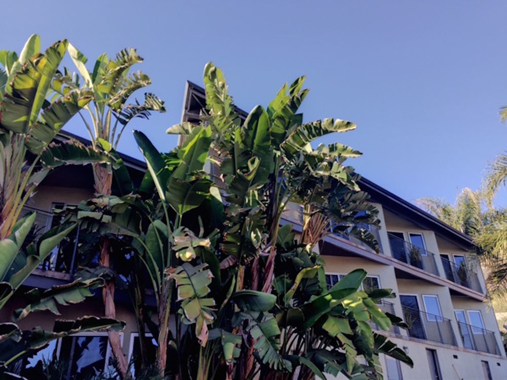The M Malibu Motel Bagian luar foto